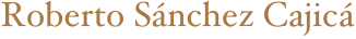 Roberto Sánchez Cajicá