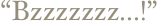 “Bzzzzzzz...!”